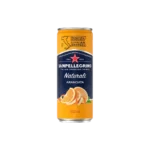 Sanpellegrino Orange